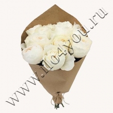 500041 Белое облако