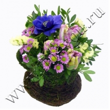 Композиция 25018