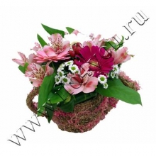 Композиция 25024