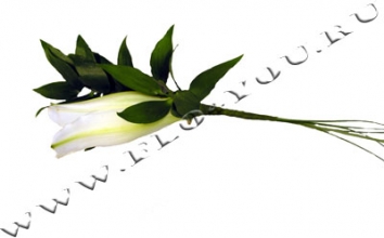 Бутоньерка 32.